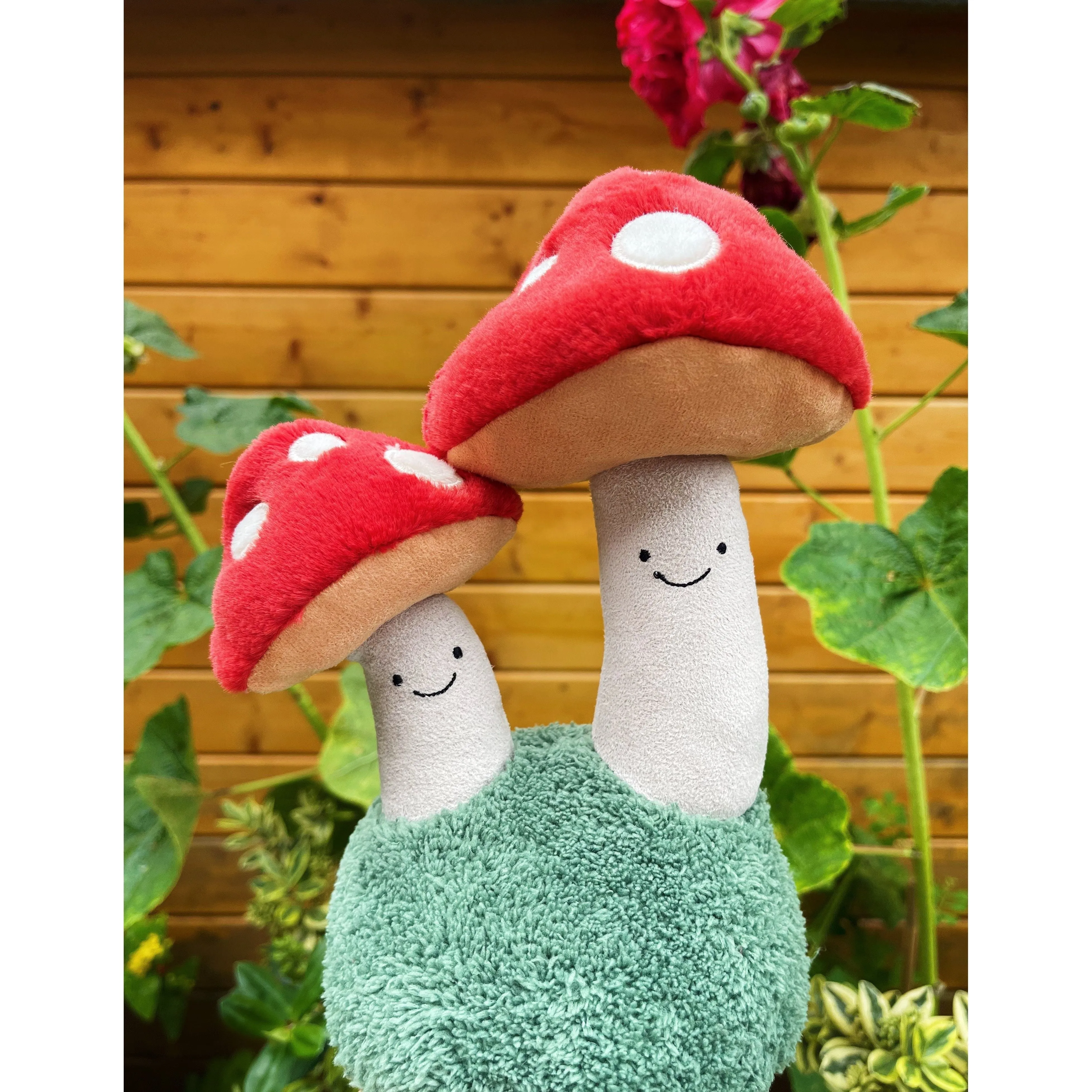 Amuseable Pair of Toadstools