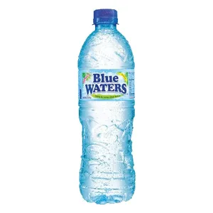 Blue Waters Purified Water 650ml
