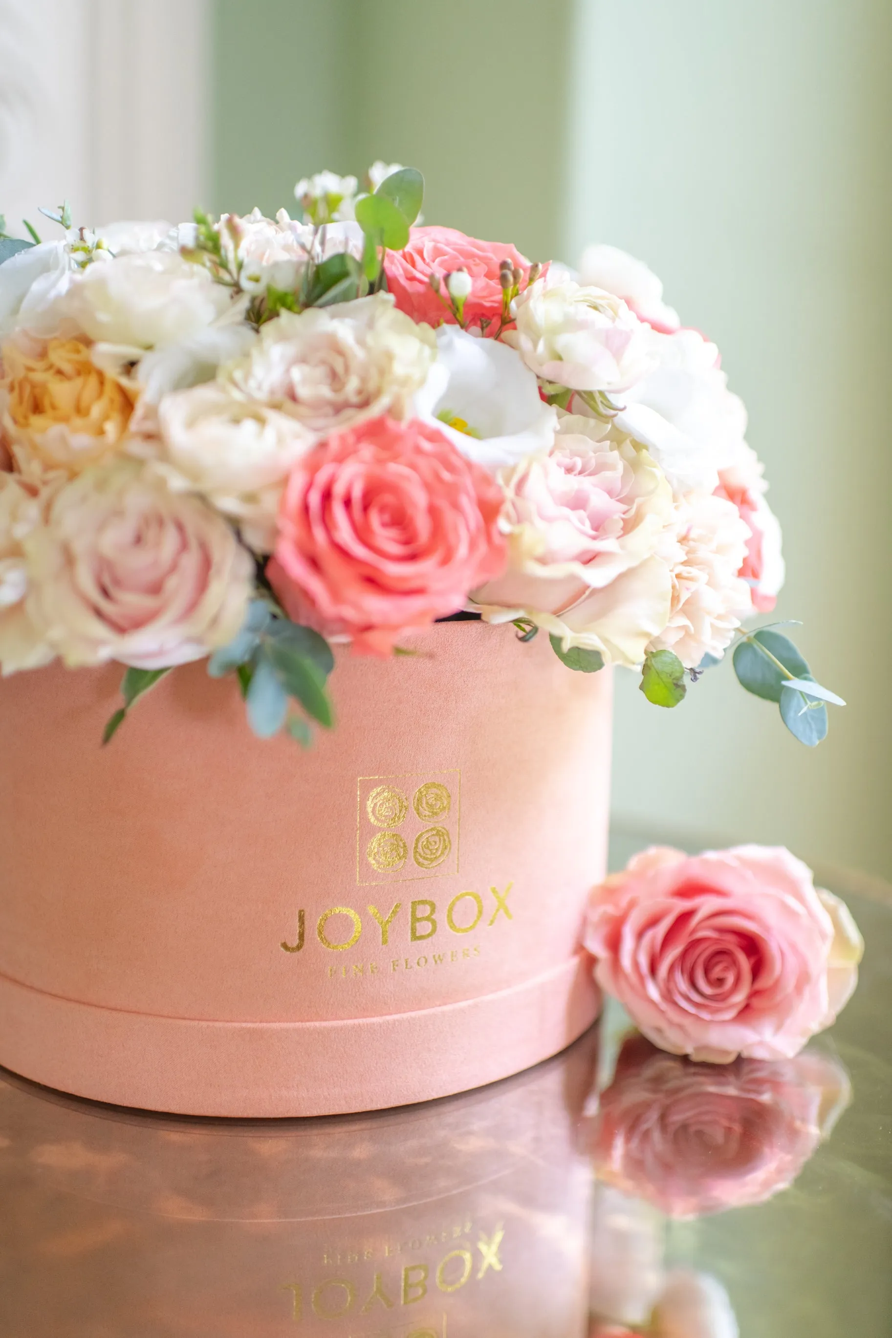 Coral Suede Luxe JoyBox