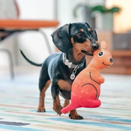 DURABLES Dog Toy — Kangaroo