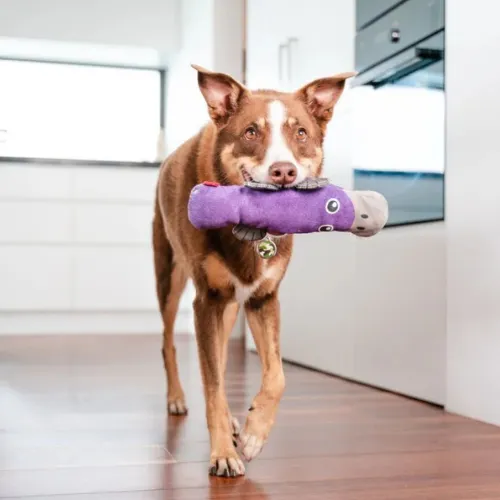 DURABLES Dog Toy — Platypus