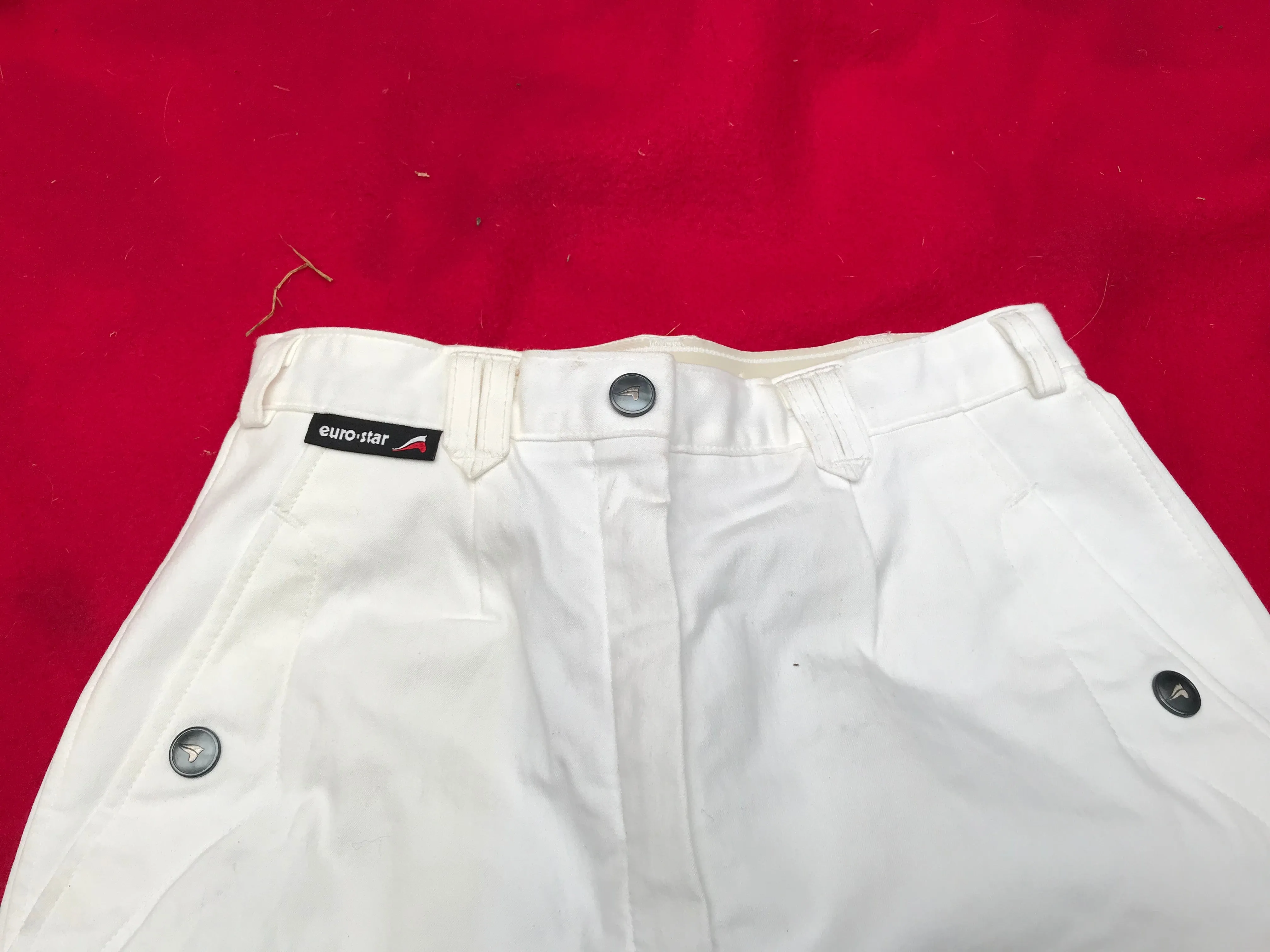 Euro star white breeches size 6 (24) regular leg FREE POSTAGE