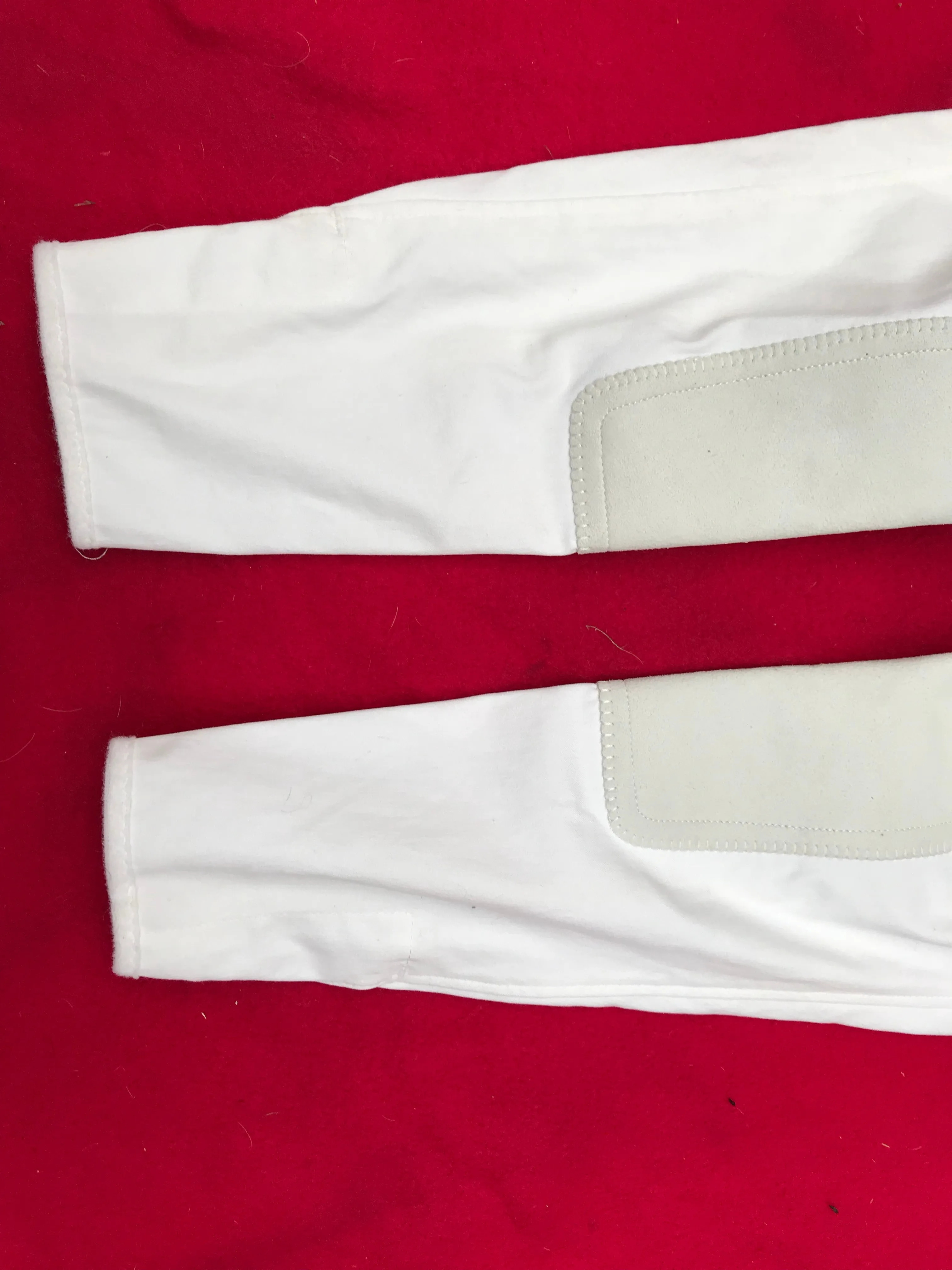 Euro star white breeches size 6 (24) regular leg FREE POSTAGE