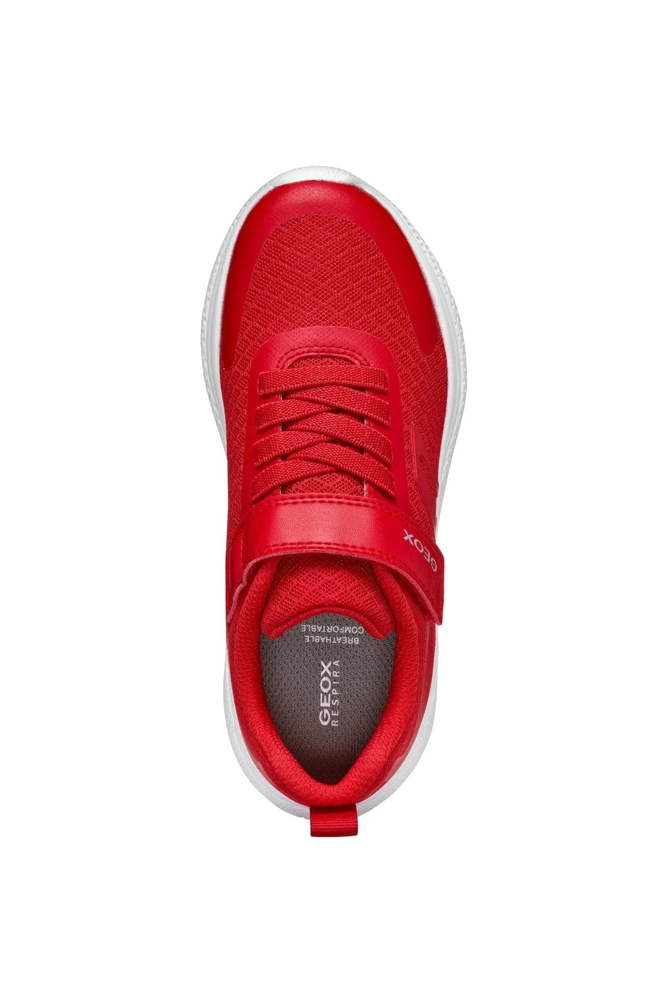 Geox - Sprintye - Red