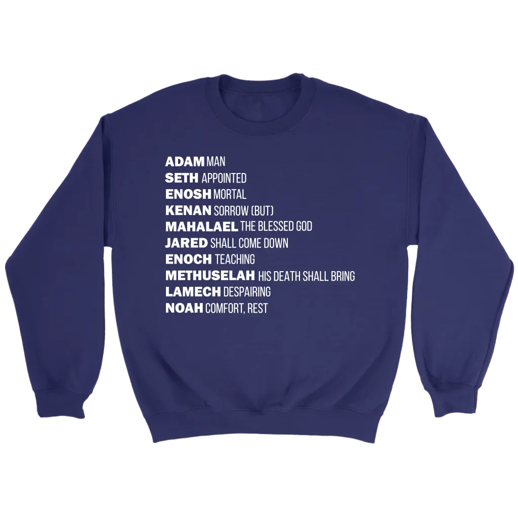 God's Plan From The Beginning Crewneck Part 2