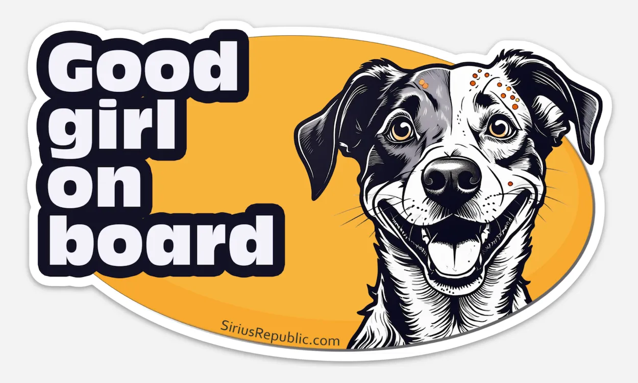 Good dog on board