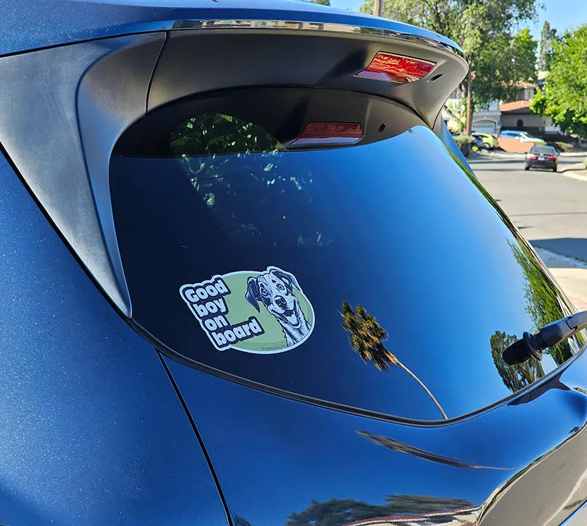 Good dog on board