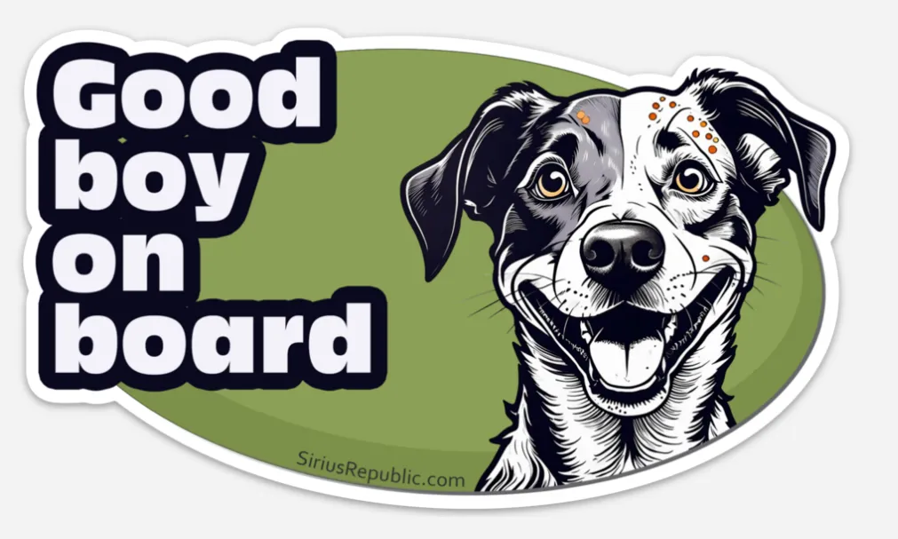 Good dog on board