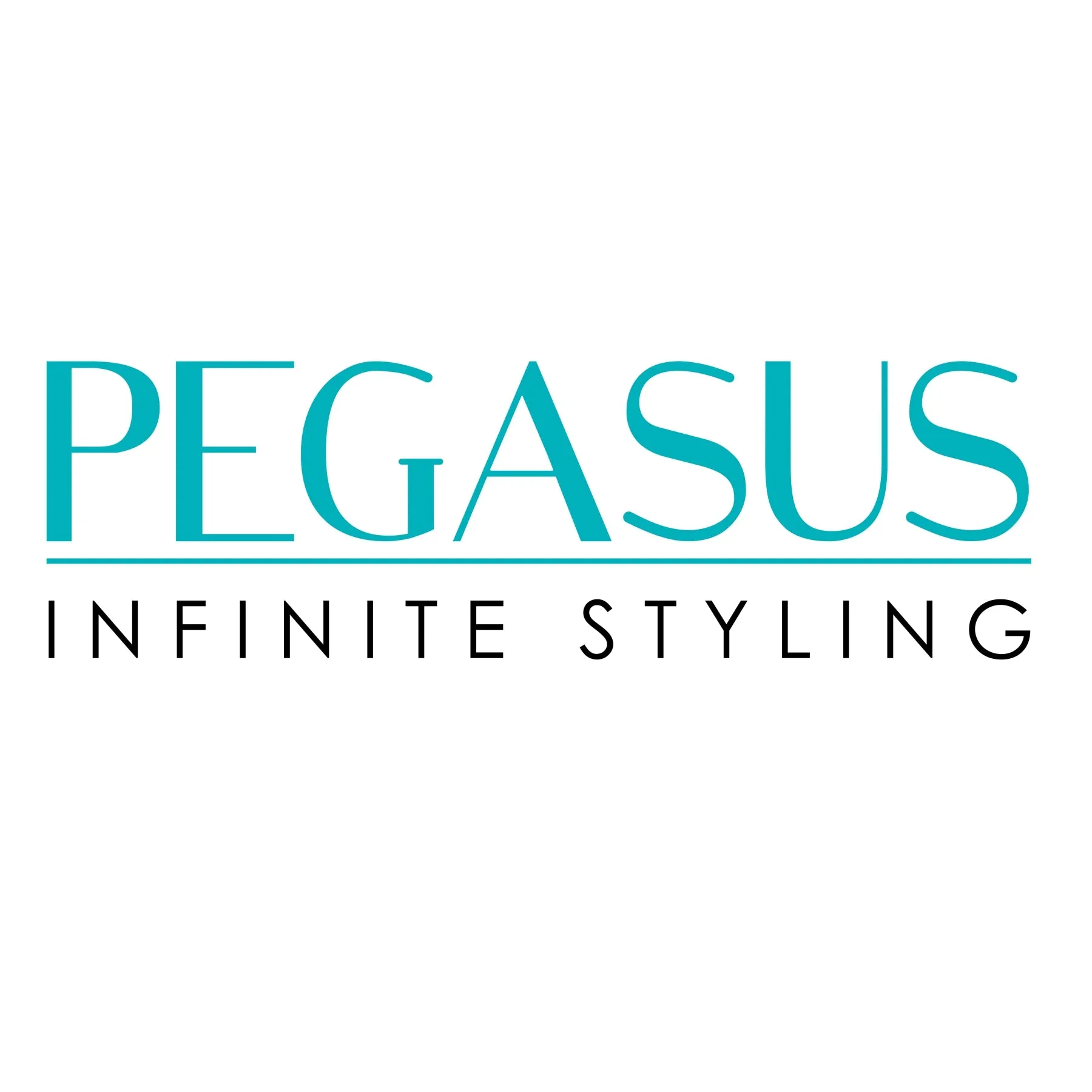 Pegasus 605, 7in Hard Rubber Styling Comb with Extra Fine Teeth,  Seamless, Smooth Edges, Anti Static, Heat and Chemically Resistant, Portable Pocket Purse Dresser Comb | Peines de goma dura - Black