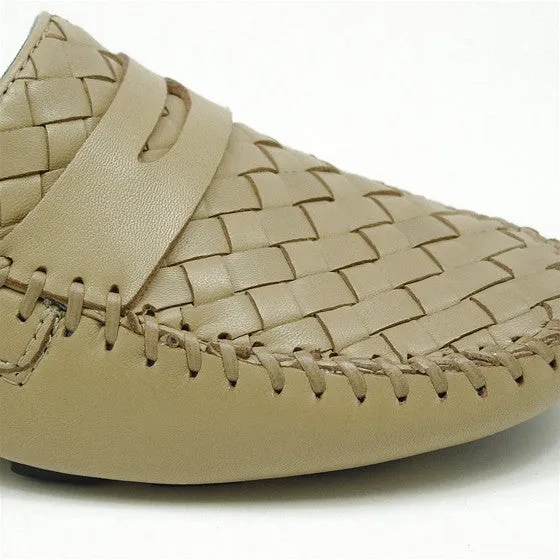 PETRA SHELL PETRASHELL
