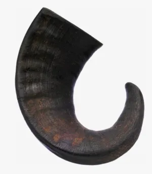 Wild Eats - Buffalo Horn